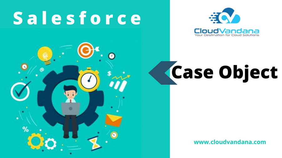 Salesforce Case Object