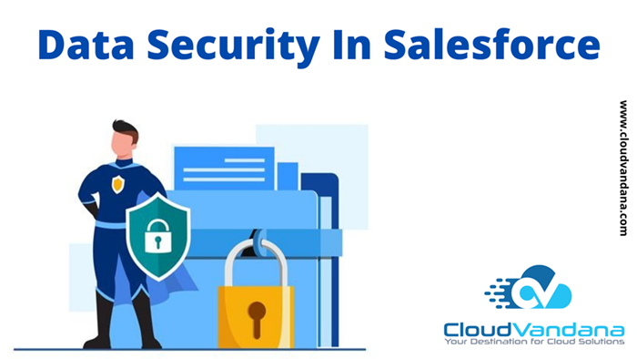 Salesforce Data Security