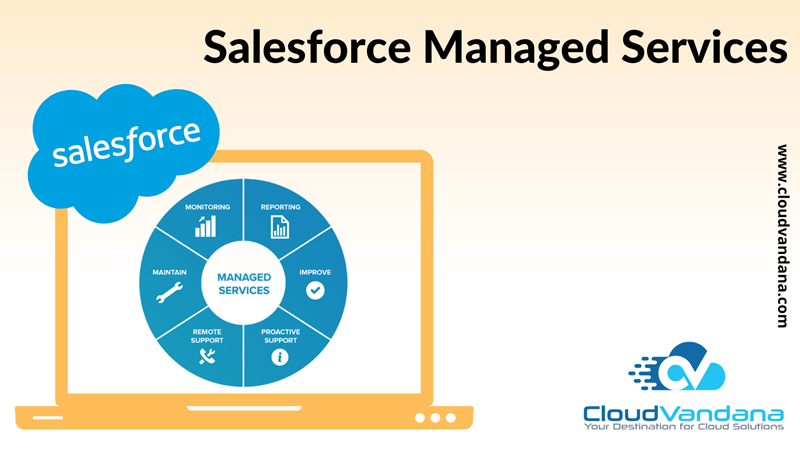 Salesforce Managed Services