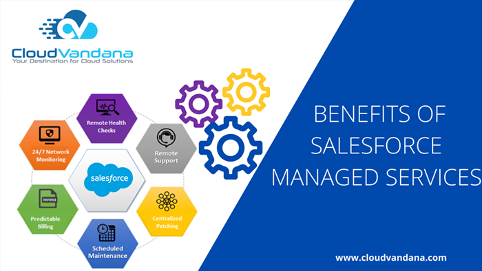 Salesforce Managed Services