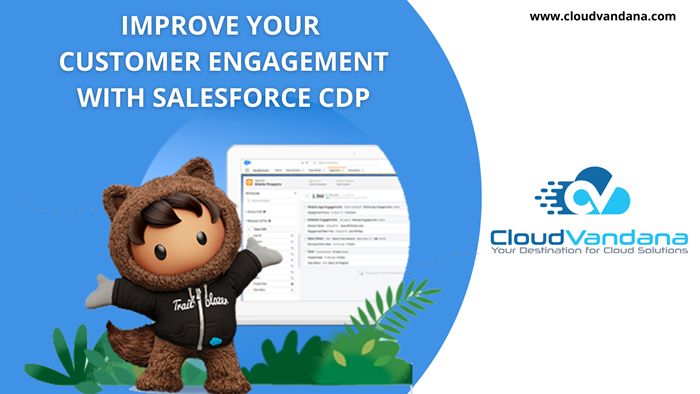Salesforce CDP