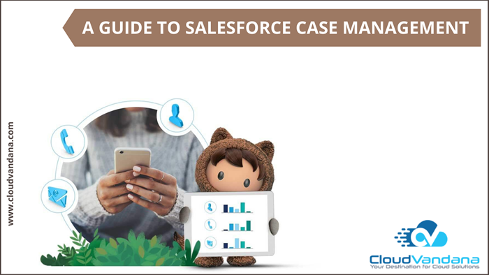 Salesforce case management