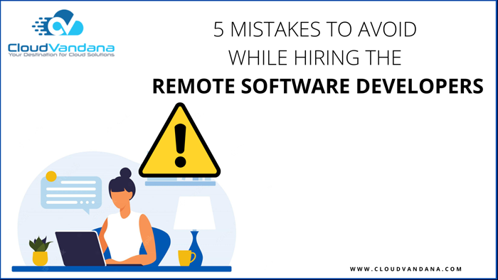 Remote Software Developers