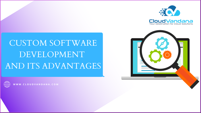 Custom Software Development