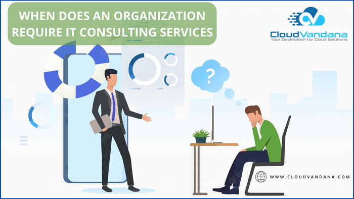 IT Consulting Services