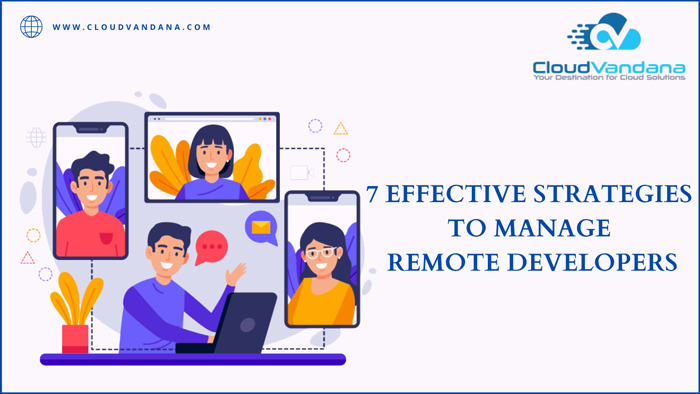 Remote Developers