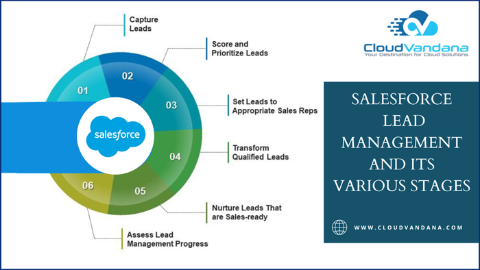 Salesforce Lead Management