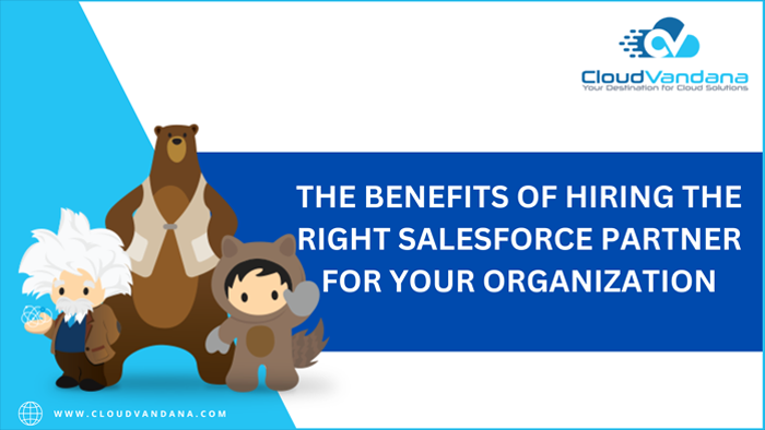 Salesforce Consulting Partner