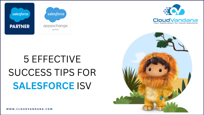 Salesforce ISV