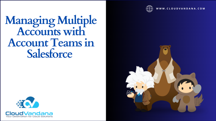 Account teams in Salesforce