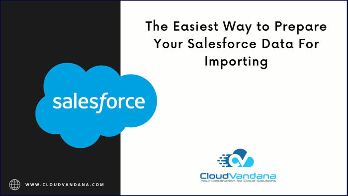 Salesforce data for importing