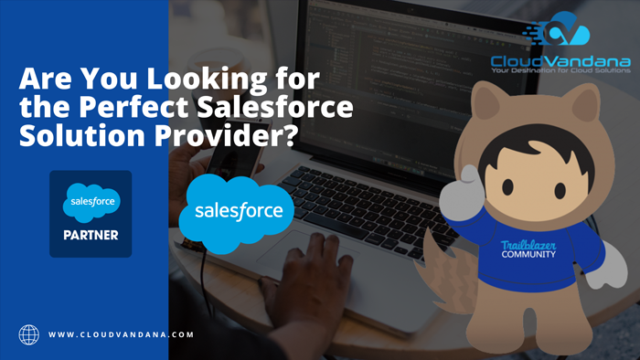 Salesforce solution provider