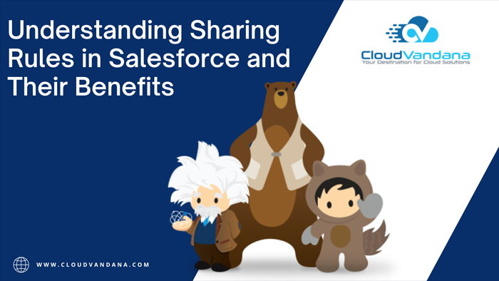 Sharing Rules in Salesforce
