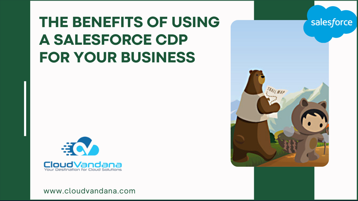 Salesforce CDP