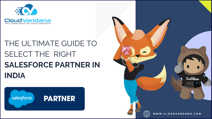 Salesforce Partner In India