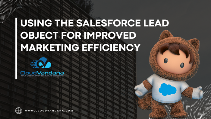 Salesforce Lead Object