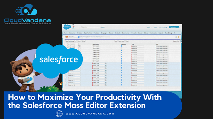 Salesforce Mass Editor