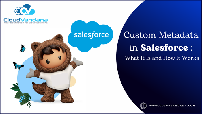 Custom Metadata in Salesforce