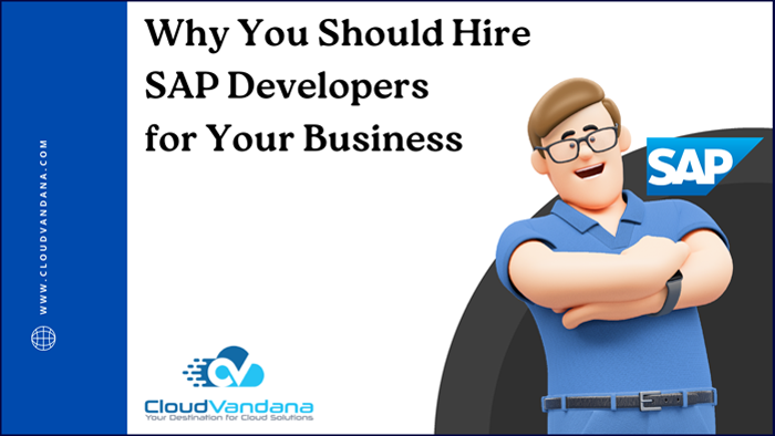 SAP Developers