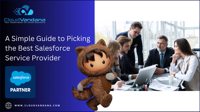 Salesforce Service Provider