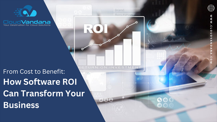 Software ROI