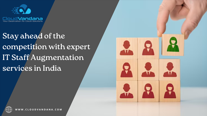 IT Staff Augmentation Services