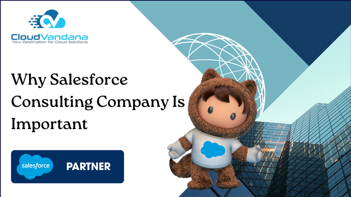 Salesforce Consulting Company