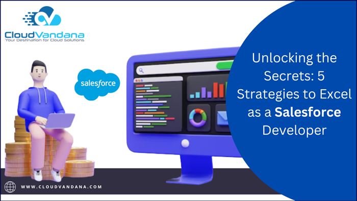Salesforce Developer