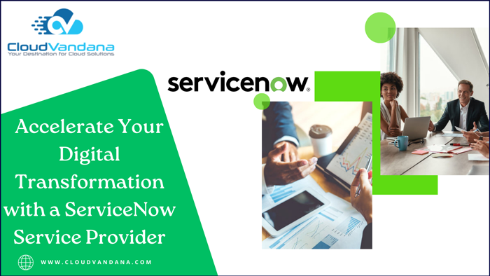 ServiceNow Service Provider