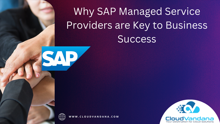 SAP Managed Service Providers