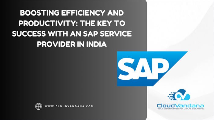 SAP Service provider