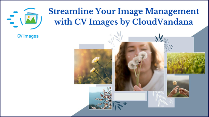 Image Management