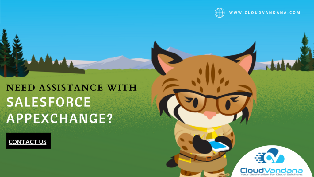 Revolutionize Your Business With Salesforce Integration